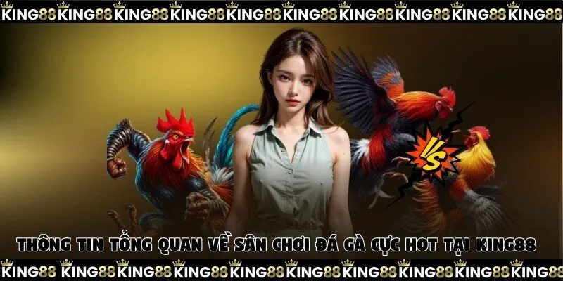 Thông tin tổng quan về sân chơi đá gà cực hot tại King88